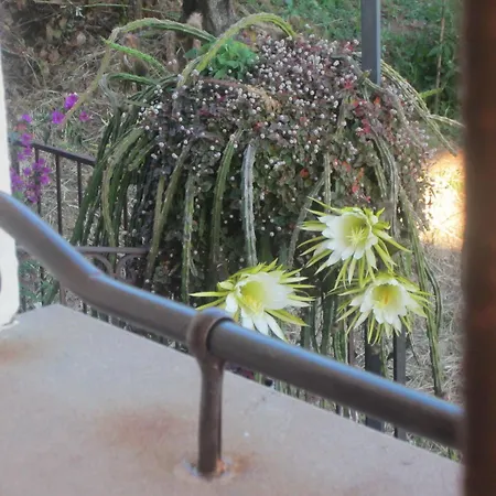 Lägenhetshotell Santa Sofia Ascea