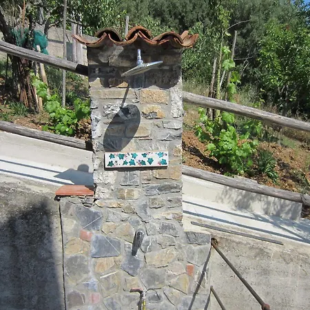 Santa Sofia Ascea