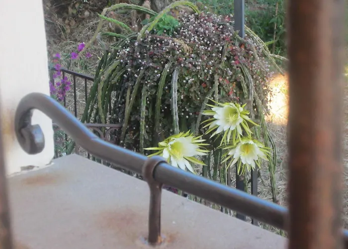 Апарт-отель Santa Sofia Ашеа